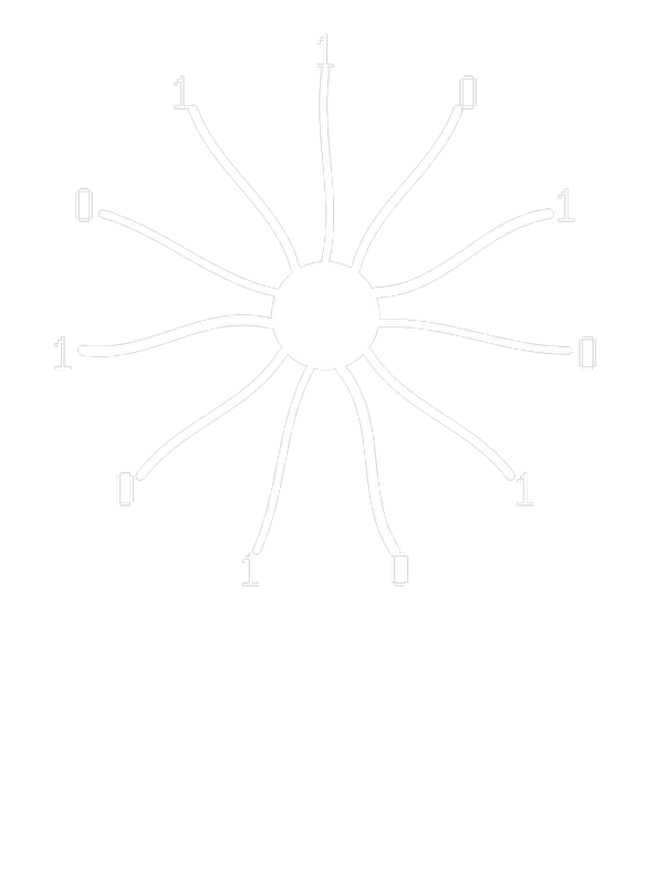Ragsi Inc